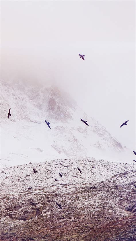 Nature Winter Snowy Mountains Flying Birds iPhone Wallpapers Free Download