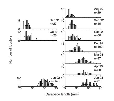 Size–frequency distributions of populations of Panulirus ornatus ...