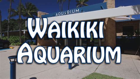 Waikiki Aquarium