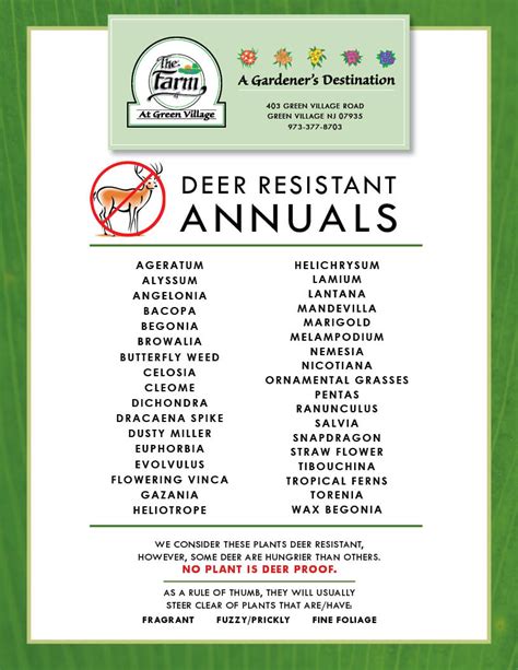 List of Deer Resistant Annuals & Perennials - The Farm at Green Village