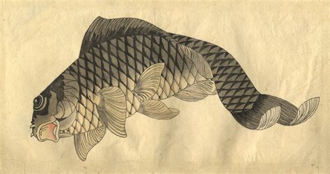 Traditional Japanese Koi Fish Painting