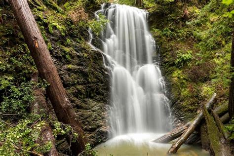 11 Stunning Hikes Near Santa Cruz, California