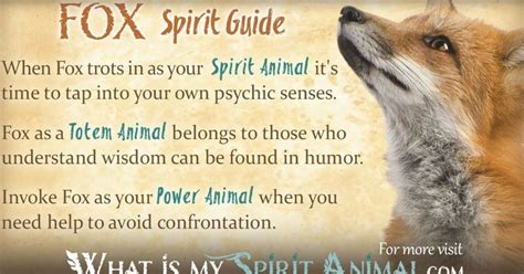 In-depth Fox Symbolism & Meanings! Fox as a Spirit, Totem, & Power ...