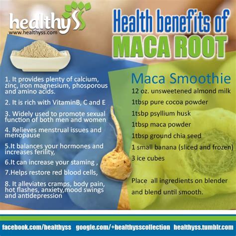 Health Benefits of MACA ROOT - Healthyss | Maca benefits, Maca root, Health