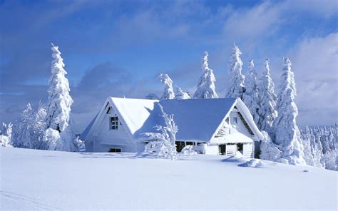 Amazing Nature Winter Wallpapers - Top Free Amazing Nature Winter Backgrounds - WallpaperAccess