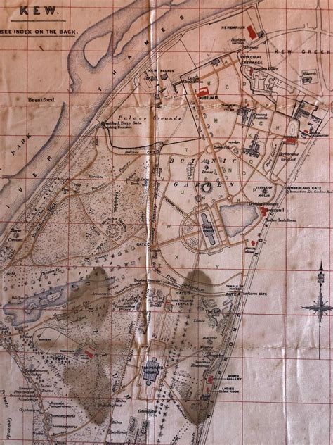 Antique Map of the Royal Botanic Garden and Arboretum Kew in London, England For Sale at 1stDibs ...