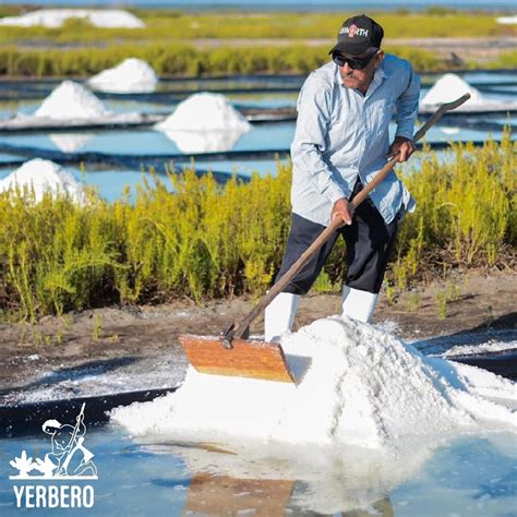 Yerbero - Premium Gourmet Bulk Colima Sea Salt Unrefined (Multiple Siz