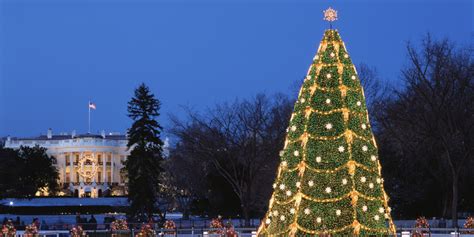 The Prettiest Christmas Trees In America | Pretty christmas trees, Christmas tree, Tree