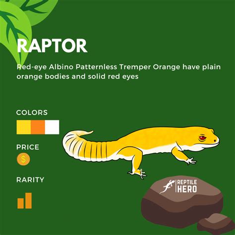 Leopard Gecko Morphs 101 [Rarity, Price, And Color] - Reptile Hero