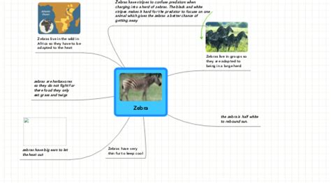 Zebra Habitat Map