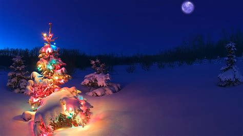 christmas tree snow christmas lights, HD wallpaper | Wallpaperbetter