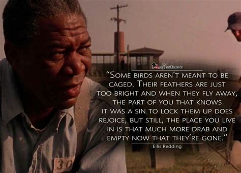 Shawshank Redemption Quotes Red - ShortQuotes.cc