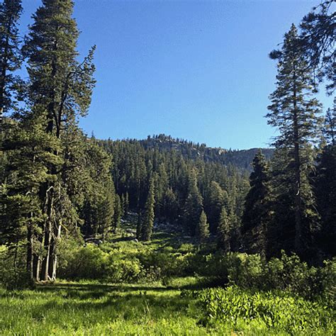 Echo Summit Trail Run Challenge - Twin Bridges , CA 10/02/21