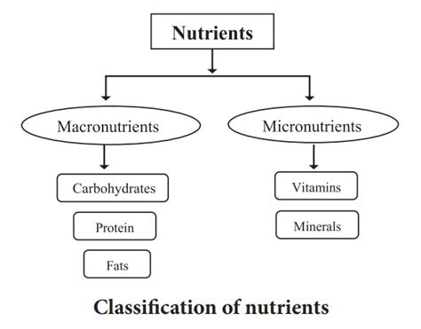 Nutrients - Functions, Sources, Daily requirements, Deficiency Syndrome