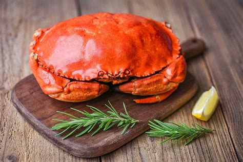 Raw Crab Meat Outlet Shop, Save 53% | jlcatj.gob.mx