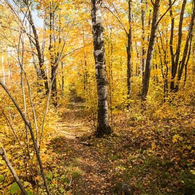 Hike to the Bear Lake Overlook, Superior Hiking Trail to Bear Lake