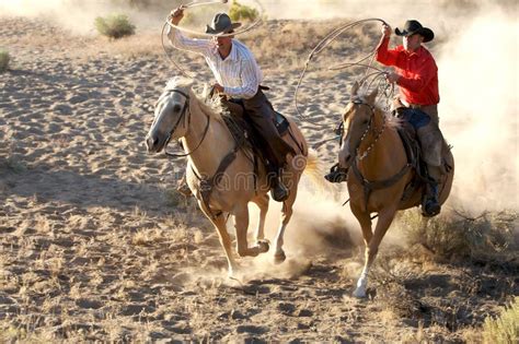 Cowboys de duel photo stock. Image du troupeau, grange - 5234212