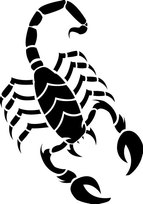 Scorpion tattoo silhouette PNG