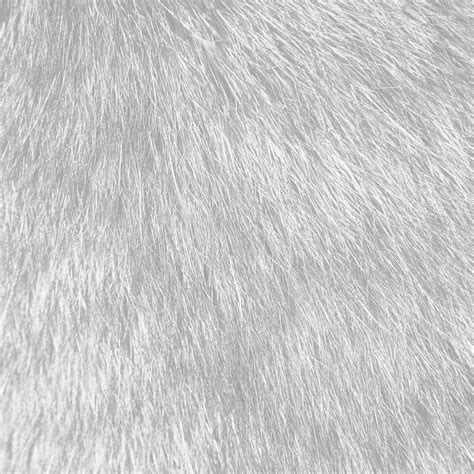 White Fur Wallpapers - Top Free White Fur Backgrounds - WallpaperAccess