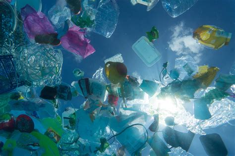 Science Newsletter #5: The Great Barrier Reef and Plastics in the World’s Oceans – Manhasset Media