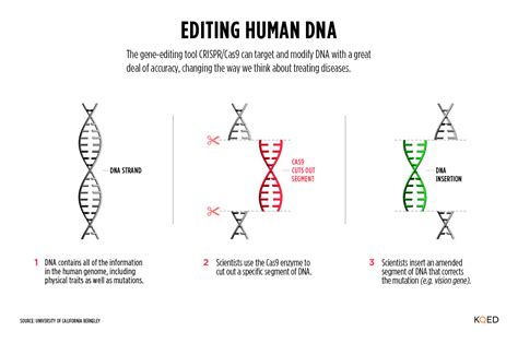 Explainer: The CRISPR/Cas9 Advance That Makes Gene Editing ...