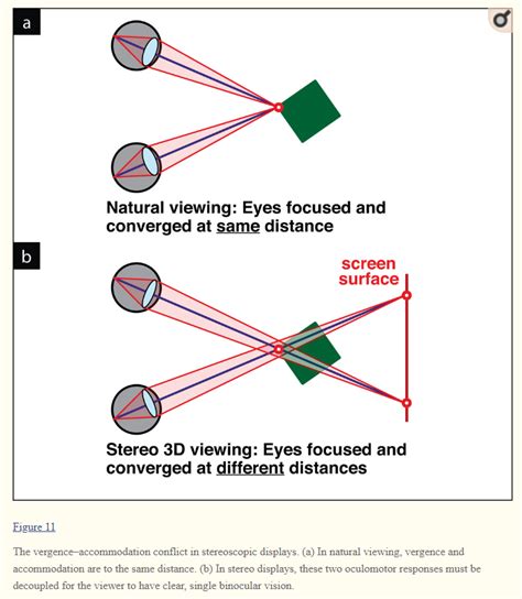 Stereoscopy and the Human Visual System – Golden Gate Stereoscopic Society