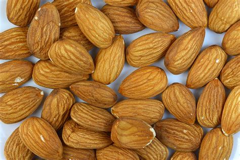 File:Sa almonds.jpg - Wikipedia