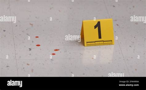 Crime scene blood stain Stock Videos & Footage - HD and 4K Video Clips ...