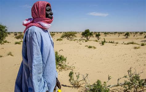 World food security increasingly at risk due to 'unprecedented' climate change impact, new UN ...