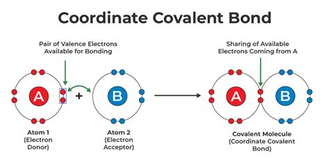 Covalent Bond Definition Examples Formation Energy And Types | My XXX ...