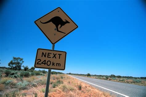 Self-driving cars are totally perplexed by kangaroos