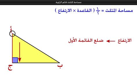 ‫مساحة المثلث قائم الزاوية‬‎ - YouTube