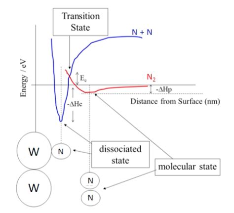 Kinetics and Heterogeneous catalysis Flashcards | Quizlet