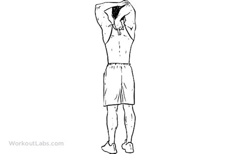 Overhead Triceps Stretch | WorkoutLabs