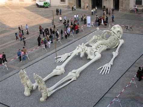 AlanWilliams on | History | Giant skeleton, Nephilim giants, Museum of contemporary art