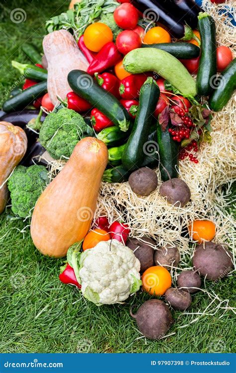 Farmers Food Market Place, Organic Vegetables Stock Photo - Image of ecological, plant: 97907398