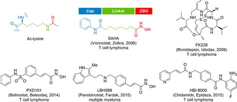 Structures of clinically approved HDAC inhibitors. | Download ...