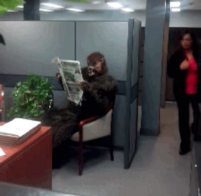 two women are standing in an office with one reading a newspaper while the other looks at her phone