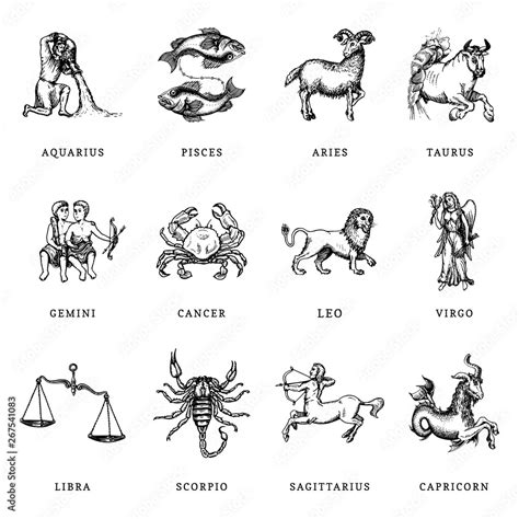 Zodiac symbols set, hand drawn in engraving style. Vector graphic retro illustration of ...