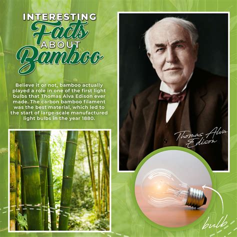 Bamboo Filament Light Bulb | atelier-yuwa.ciao.jp