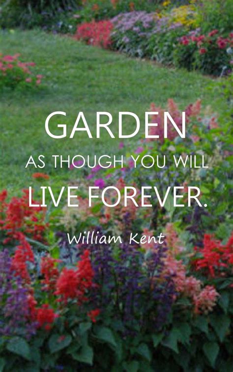 Top 50 Gardening Quotes and Sayings with Images