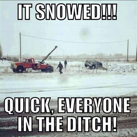 It snowed!!! Quick, everyone in the ditch! | Haha funny, Funny pictures, Funny