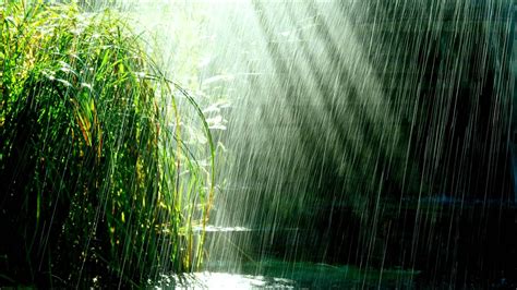 Rainy background ·① Download free beautiful full HD backgrounds for ...