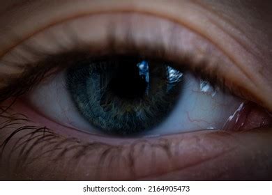 19,153 Deep Blue Eyes Images, Stock Photos & Vectors | Shutterstock