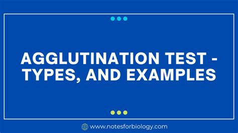 Agglutination test - types, and examples - Best Biology Notes, Reference, Articles