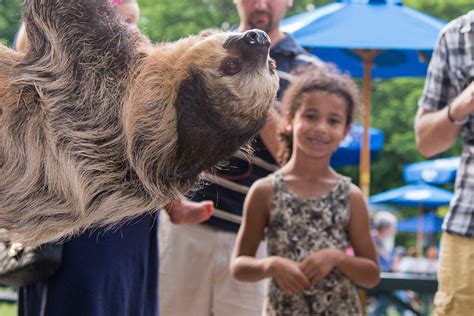 Brookfield Zoo Hosts 2015 Events, March to June | La Grange, IL Patch