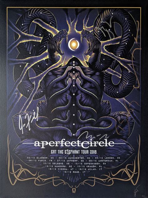 A Perfect Circle Tour Poster 2018 | Tour posters, Poster, A perfect circle