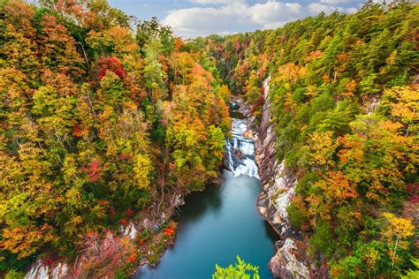 10 Best Places To See Fall Foliage In Georgia - Follow Me Away