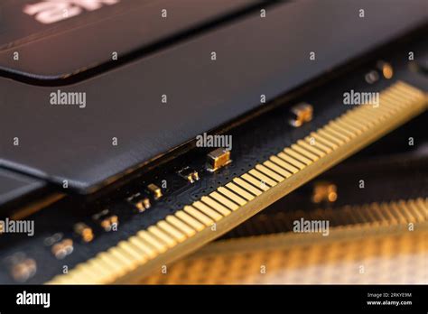 DDR4 DRAM memory module golden electrical contact macro. Computer RAM ...