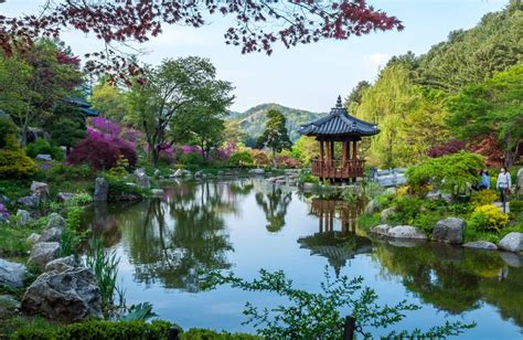 Beautiful Spring Gardens You Can Visit in South Korea